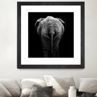 Elephant In Black And White by Lukas Holas on GIANT ART - black photo manipulation