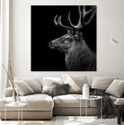 Deer In Black And White by Lukas Holas on GIANT ART - black photo manipulation