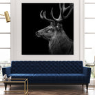 Deer In Black And White by Lukas Holas on GIANT ART - black photo manipulation