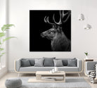 Deer In Black And White by Lukas Holas on GIANT ART - black photo manipulation