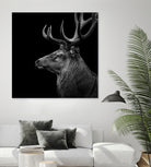 Deer In Black And White by Lukas Holas on GIANT ART - black photo manipulation