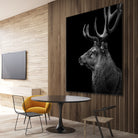 Deer In Black And White by Lukas Holas on GIANT ART - black photo manipulation