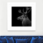 Deer In Black And White by Lukas Holas on GIANT ART - black photo manipulation