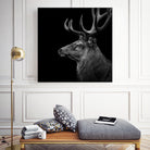 Deer In Black And White by Lukas Holas on GIANT ART - black photo manipulation