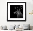 Deer In Black And White by Lukas Holas on GIANT ART - black photo manipulation