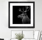 Deer In Black And White by Lukas Holas on GIANT ART - black photo manipulation