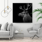 Deer In Black And White by Lukas Holas on GIANT ART - black photo manipulation