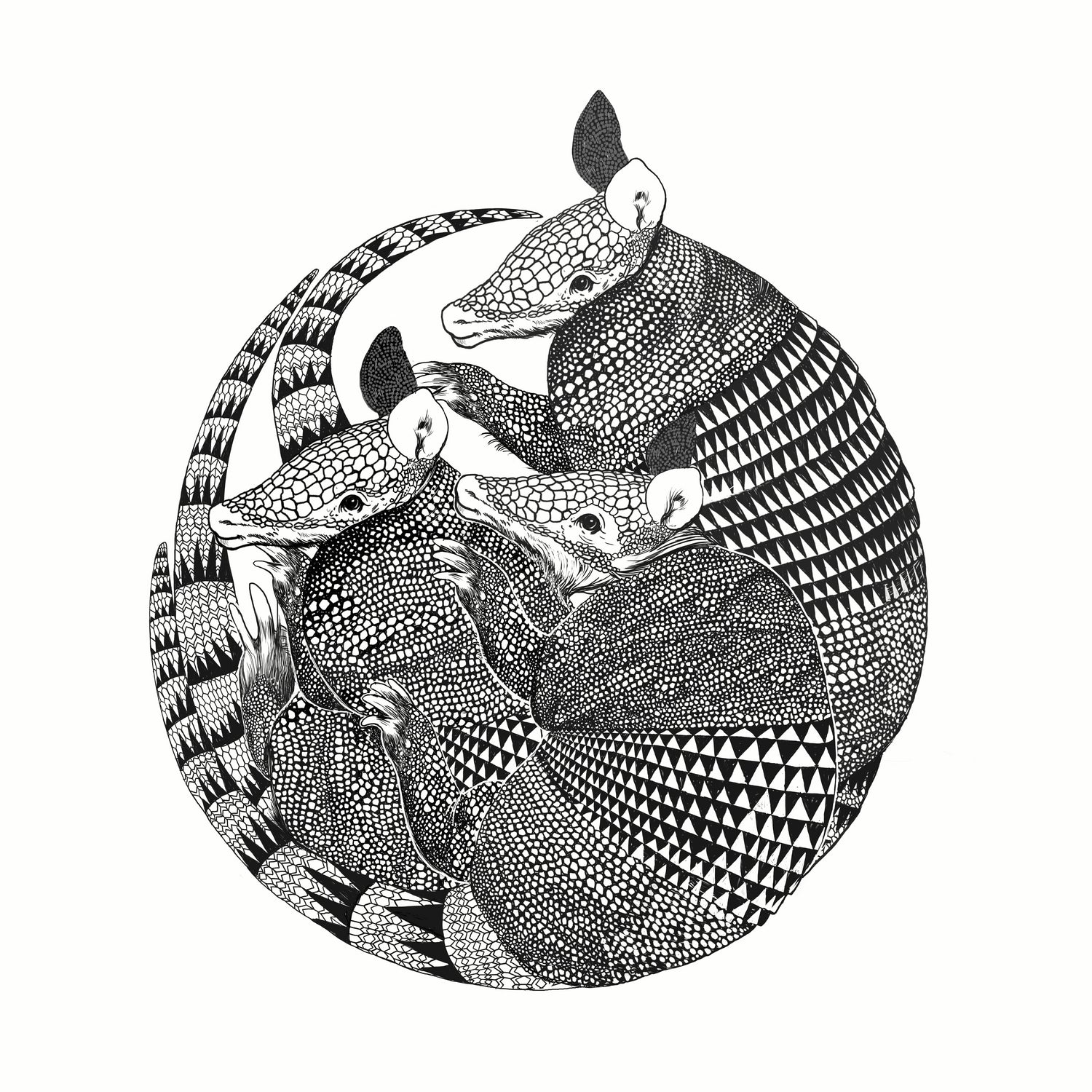 Armadillos by Laura Graves on GIANT ART - black digital painting