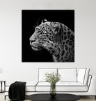 Leopard in black and white by Lukas Holas on GIANT ART - black photo manipulation