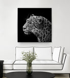 Leopard in black and white by Lukas Holas on GIANT ART - black photo manipulation