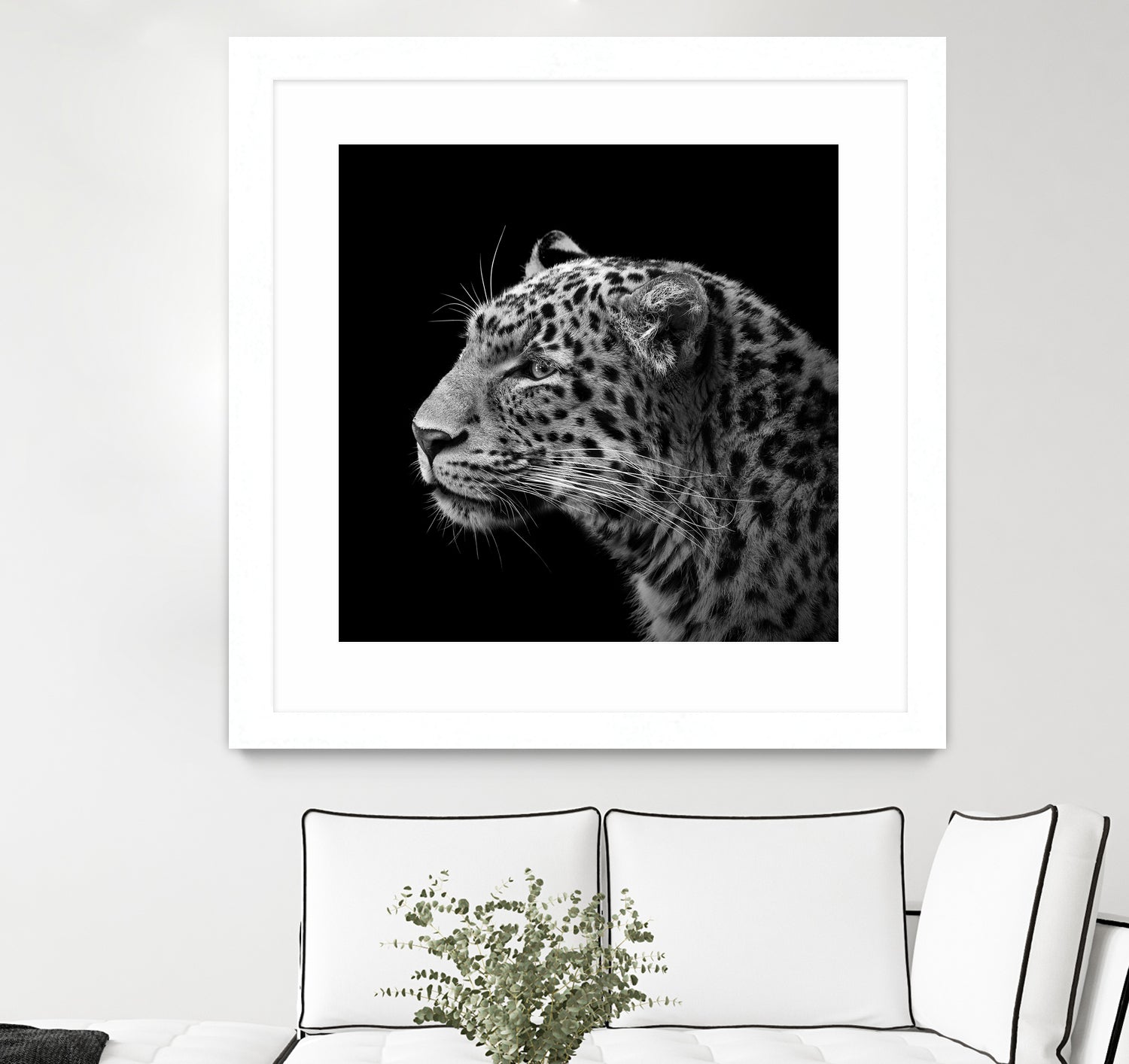 Leopard in black and white by Lukas Holas on GIANT ART - black photo manipulation