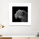 Leopard in black and white by Lukas Holas on GIANT ART - black photo manipulation