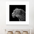 Leopard in black and white by Lukas Holas on GIANT ART - black photo manipulation