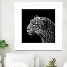 Leopard in black and white by Lukas Holas on GIANT ART - black photo manipulation