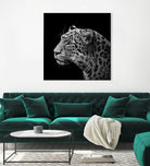 Leopard in black and white by Lukas Holas on GIANT ART - black photo manipulation