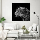 Leopard in black and white by Lukas Holas on GIANT ART - black photo manipulation