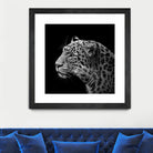 Leopard in black and white by Lukas Holas on GIANT ART - black photo manipulation