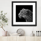 Leopard in black and white by Lukas Holas on GIANT ART - black photo manipulation