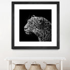 Leopard in black and white by Lukas Holas on GIANT ART - black photo manipulation