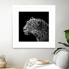 Leopard in black and white by Lukas Holas on GIANT ART - black photo manipulation