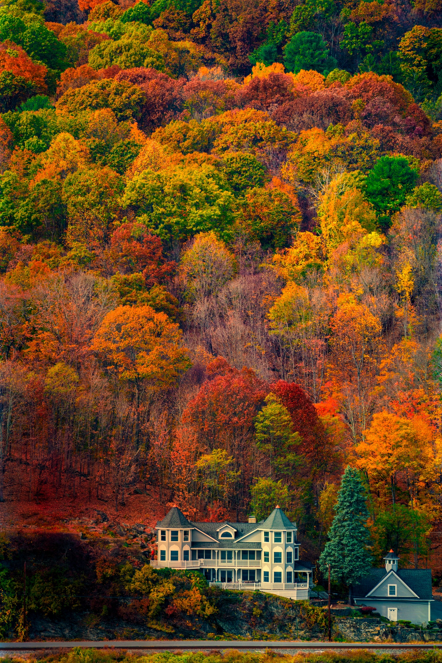 Highland House by Chris Lord on GIANT ART - orange digital painting