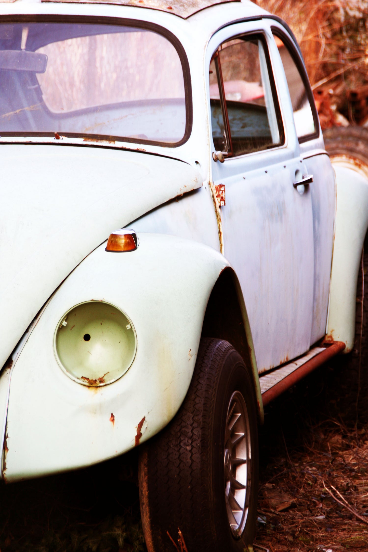 beetle vw by Roxane Barré on GIANT ART - fuchsia photo illustration