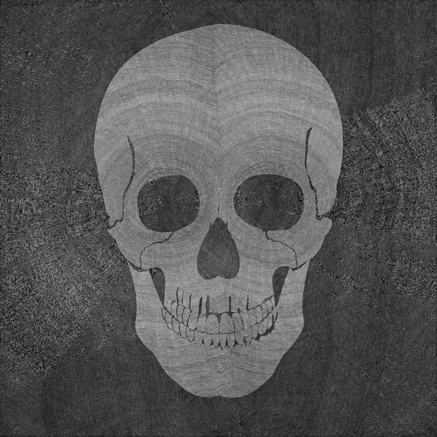 Memento Mori I (153 hours 35 minutes) by Victor Fitzsimons on GIANT ART - black digital drawing