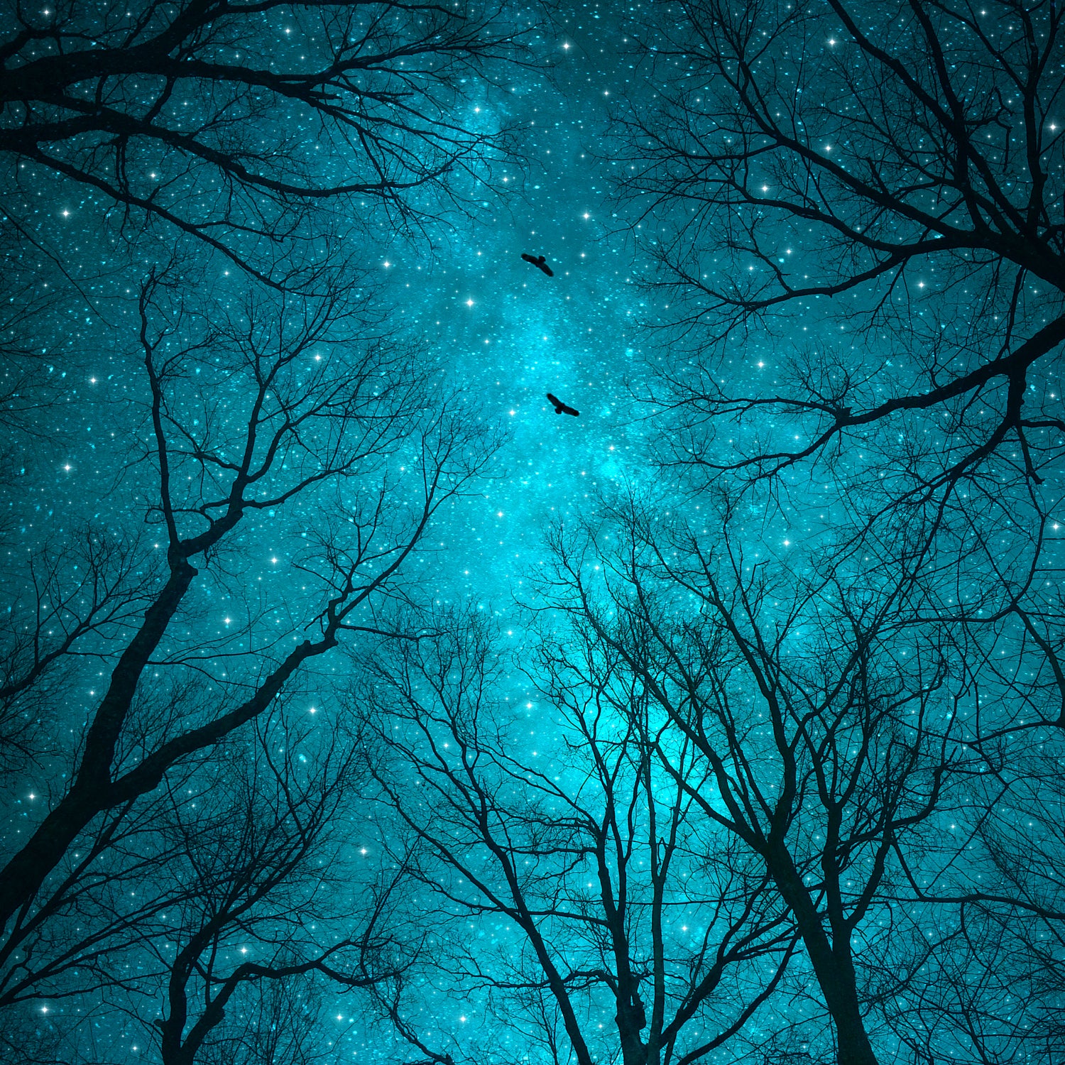 Stars Can't Shine Without Darkness by Soaring Anchor on GIANT ART - blue photo manipulation