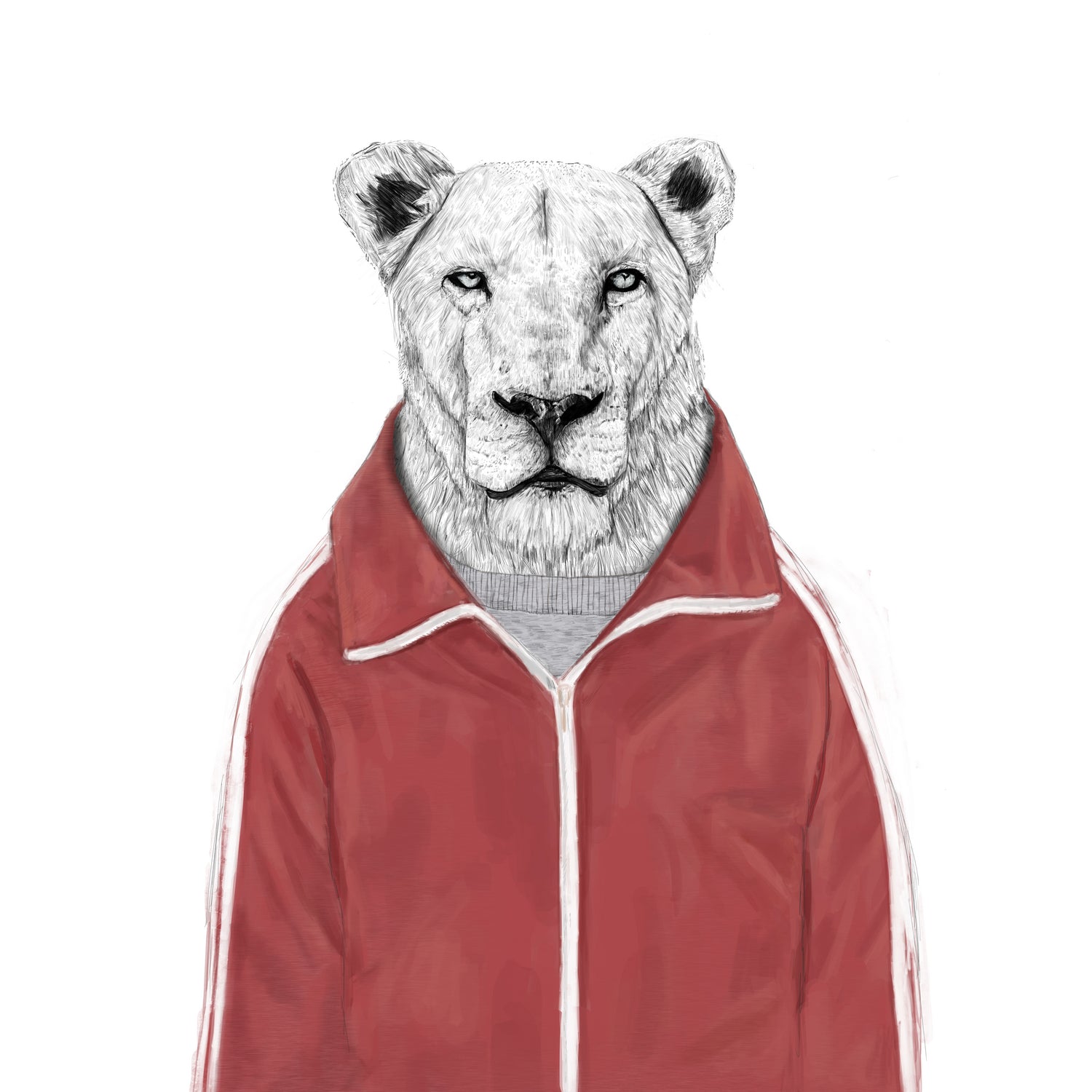 Sporty lion by Solti Balázs on GIANT ART - red digital painting