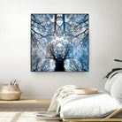 Meditative power of forest by SILVIA WISCHEROPP on GIANT ART - blue photo illustration