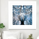 Meditative power of forest by SILVIA WISCHEROPP on GIANT ART - blue photo illustration