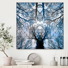 Meditative power of forest by SILVIA WISCHEROPP on GIANT ART - blue photo illustration