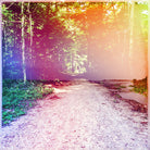 Path by Deb Schmill on GIANT ART - fuchsia photo manipulation