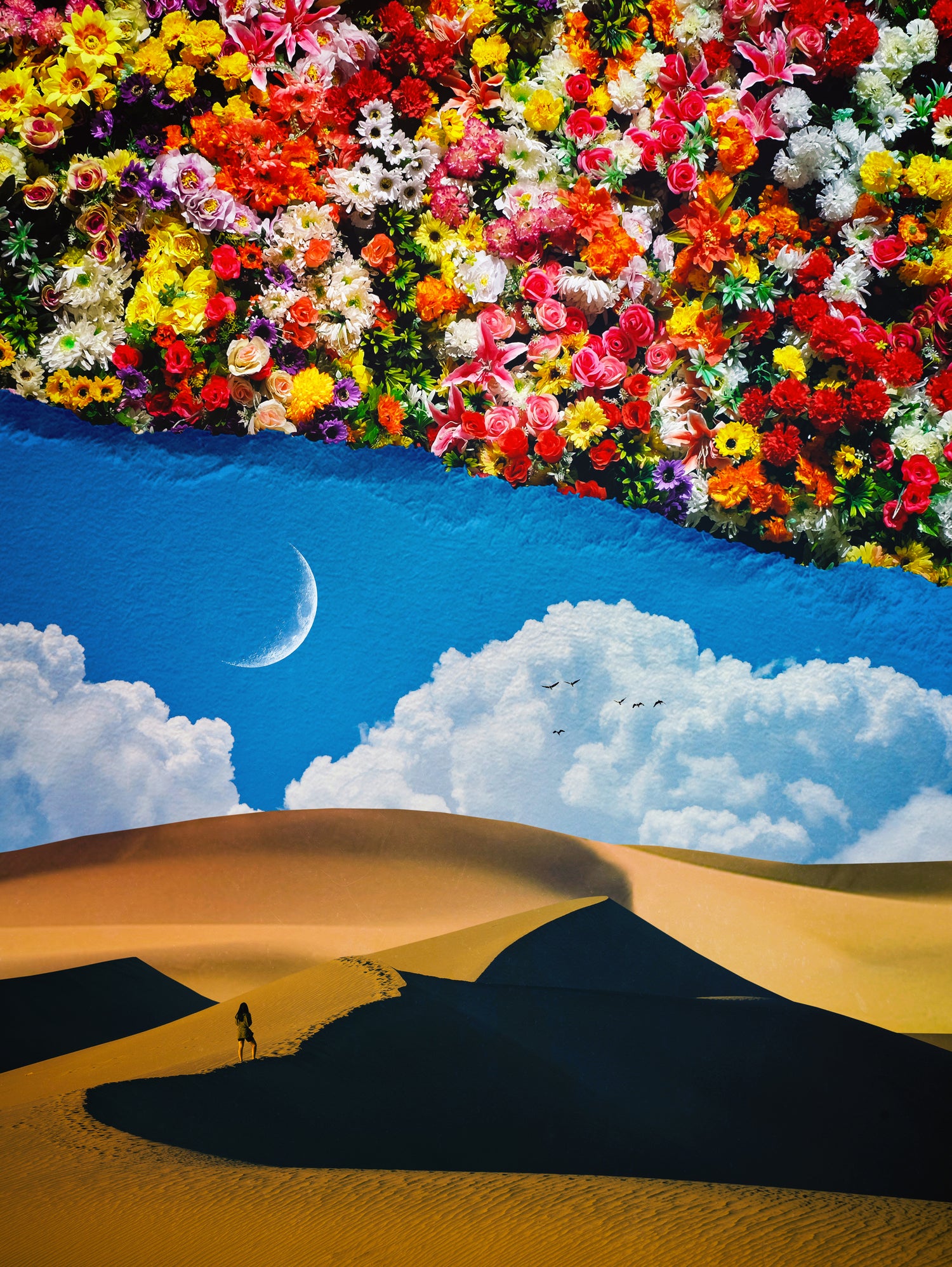 A Desert Full Of Flowers by Seam Less on GIANT ART - black photo manipulation