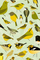 warbler window yellow by Scott Partridge on GIANT ART - vector illustration