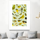 warbler window yellow by Scott Partridge on GIANT ART - vector illustration