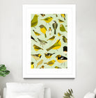 warbler window yellow by Scott Partridge on GIANT ART - vector illustration