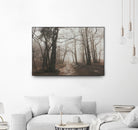 Spooky Forest by Dominika Aniola on GIANT ART - brown photo illustration