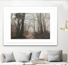 Spooky Forest by Dominika Aniola on GIANT ART - brown photo illustration