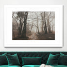 Spooky Forest by Dominika Aniola on GIANT ART - brown photo illustration