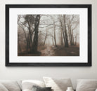 Spooky Forest by Dominika Aniola on GIANT ART - brown photo illustration