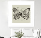 Butterfly Effect by Tobias Fonseca on GIANT ART - brown digital drawing