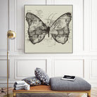 Butterfly Effect by Tobias Fonseca on GIANT ART - brown digital drawing