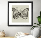 Butterfly Effect by Tobias Fonseca on GIANT ART - brown digital drawing