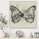 Butterfly Effect by Tobias Fonseca on GIANT ART - brown digital drawing