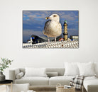 Magic Seagull on the Baltic Sea by SILVIA WISCHEROPP on GIANT ART - blue photo illustration