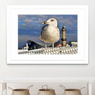 Magic Seagull on the Baltic Sea by SILVIA WISCHEROPP on GIANT ART - blue photo illustration