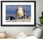 Magic Seagull on the Baltic Sea by SILVIA WISCHEROPP on GIANT ART - blue photo illustration