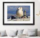 Magic Seagull on the Baltic Sea by SILVIA WISCHEROPP on GIANT ART - blue photo illustration