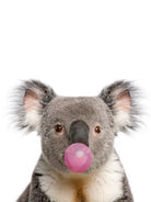 koala with bubble gum by miguel angel romero franco on GIANT ART - gray photo manipulation